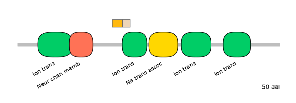 HsaINT0145773-EXC