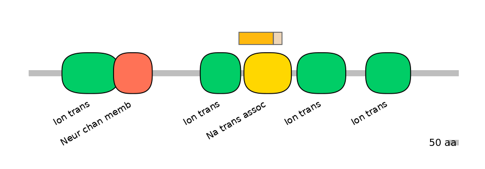 HsaINT0145776-EXC