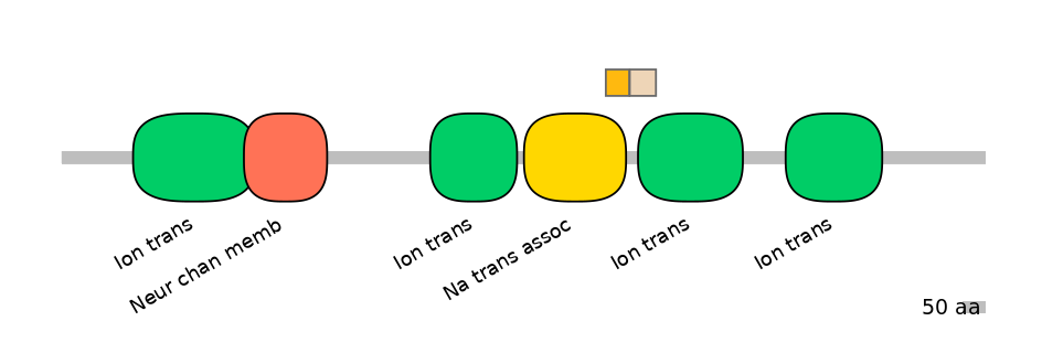 HsaINT0145778-EXC