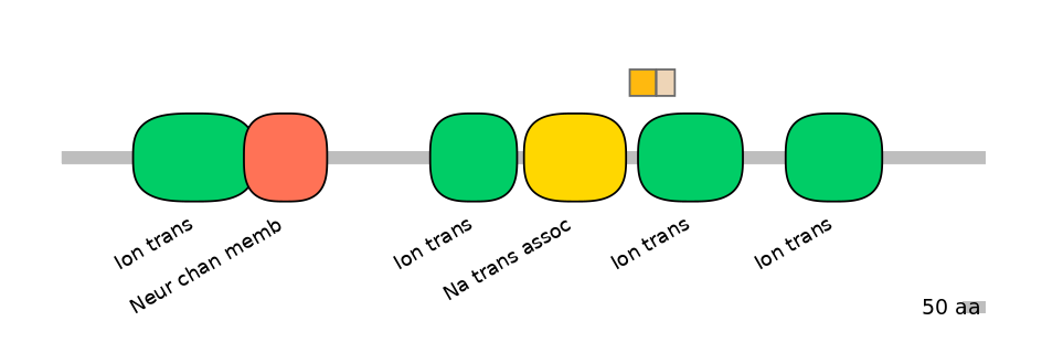HsaINT0145779-EXC