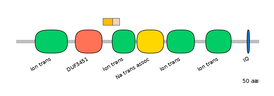 HsaINT0145802-EXC