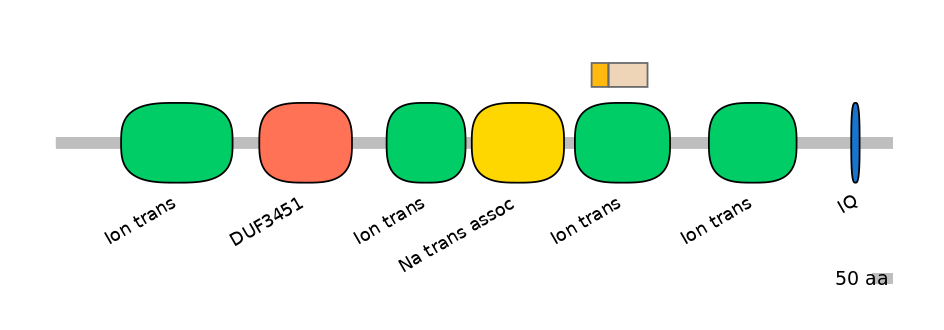 HsaINT0145810-EXC