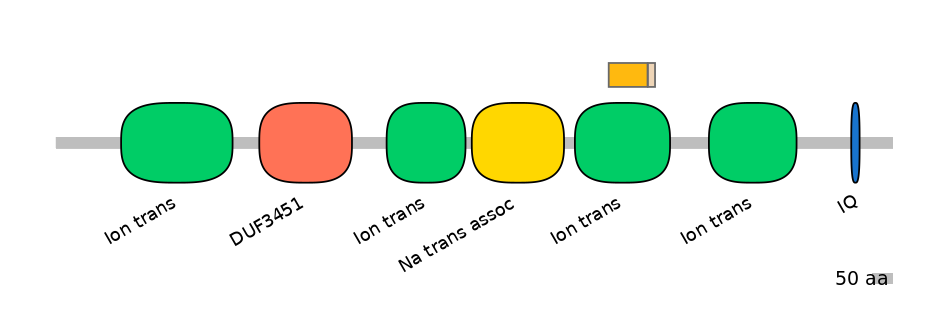 HsaINT0145811-EXC