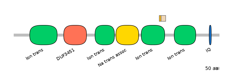 HsaINT0145812-EXC