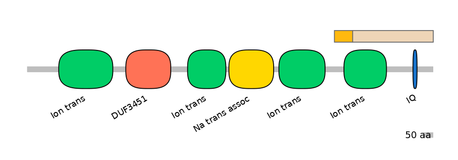 HsaINT0145815-EXC