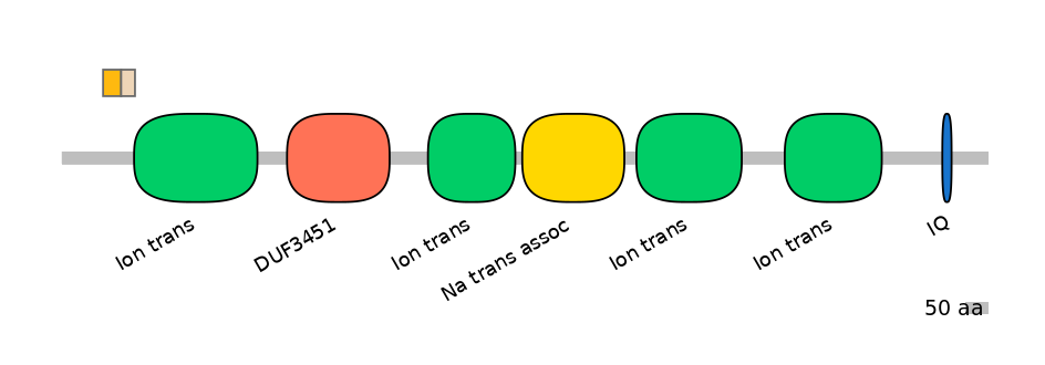 HsaINT0145816-EXC