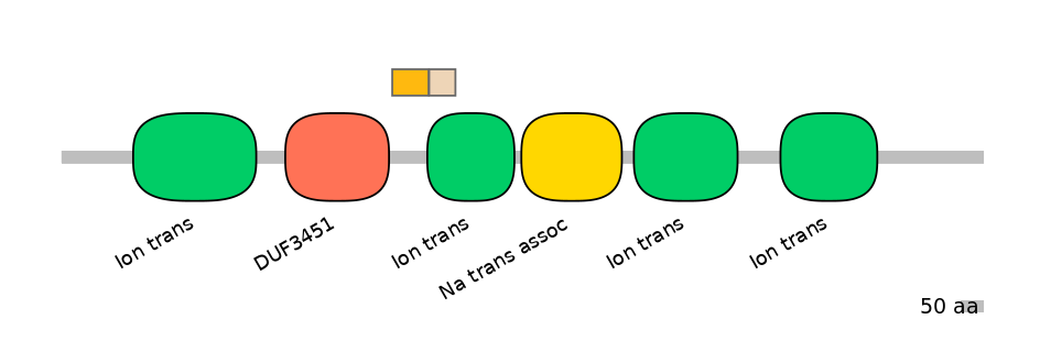 HsaINT0145836-EXC