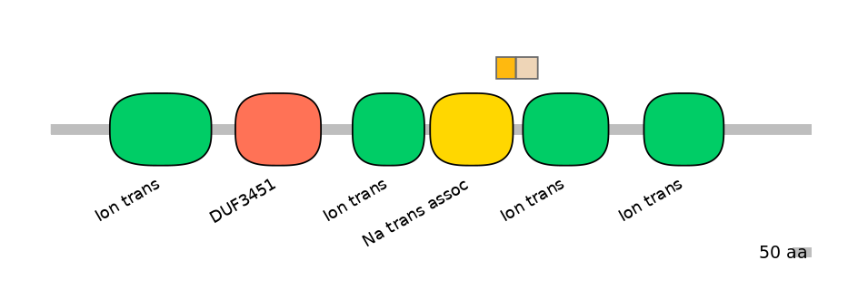 HsaINT0145842-EXC