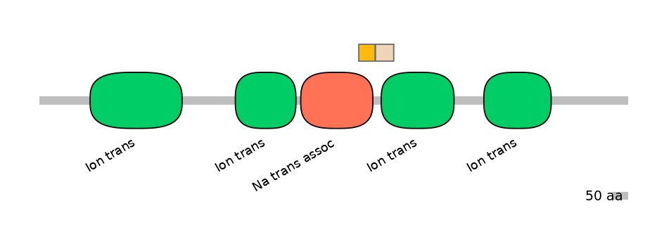 HsaINT0145870-EXC