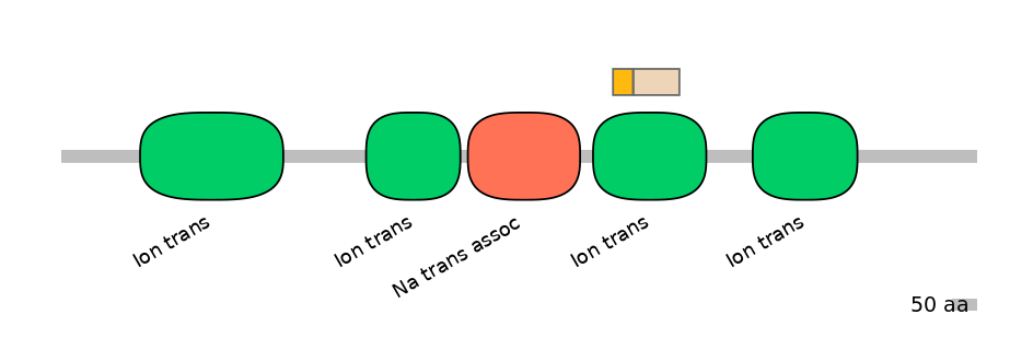 HsaINT0145872-EXC