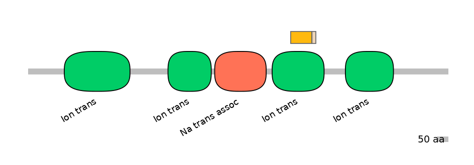 HsaINT0145873-EXC