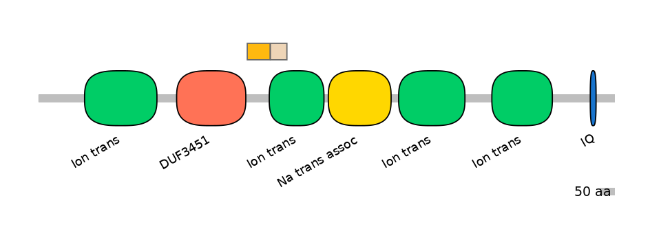 HsaINT0145948-EXC