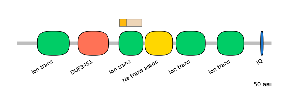 HsaINT0145949-EXC