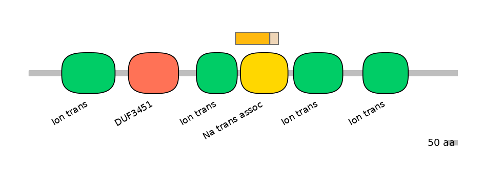 HsaINT0145977-EXC