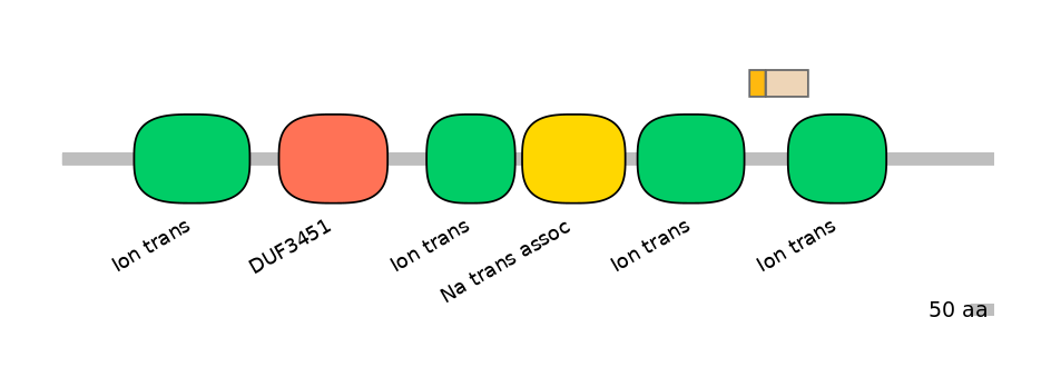 HsaINT0145986-EXC