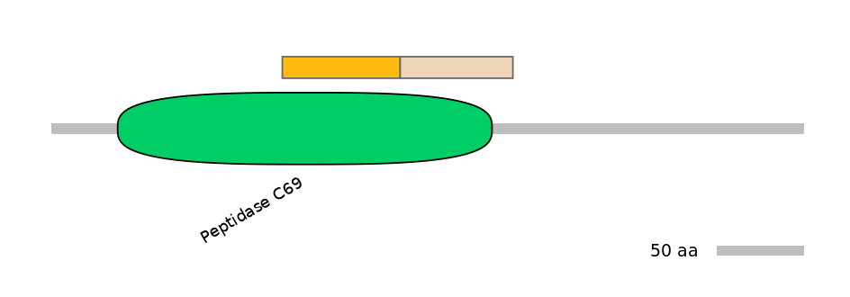 HsaINT0146134-EXC
