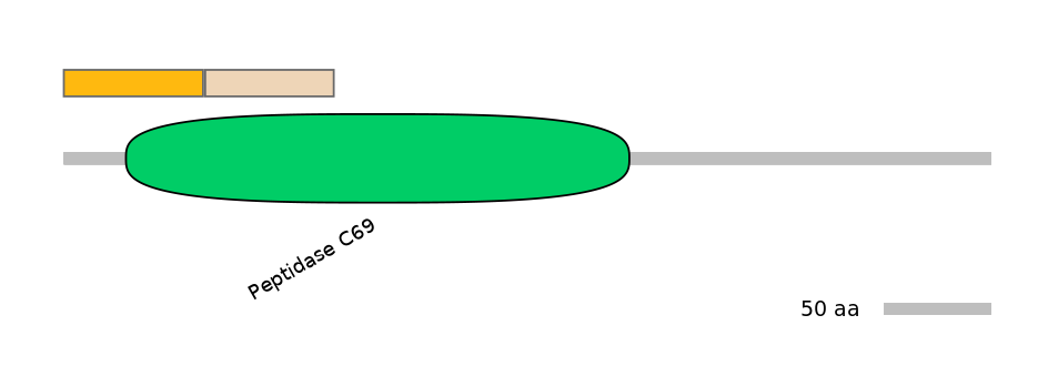 HsaINT0146141-EXC