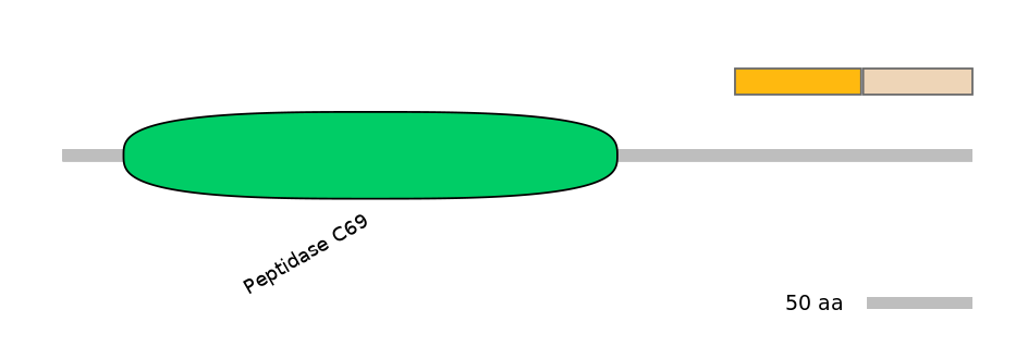 HsaINT0146145-EXC