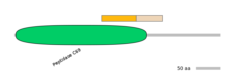HsaINT0146149-EXC