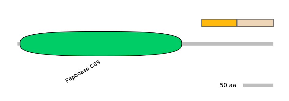 HsaINT0146151-EXC