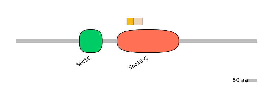 HsaINT0146715-EXC