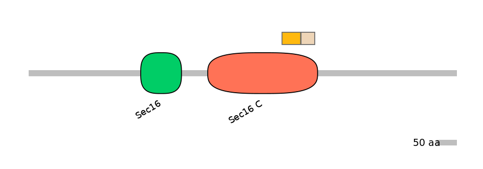 HsaINT0146719-EXC