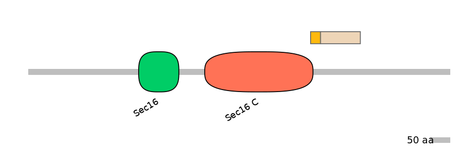 HsaINT0146721-EXC