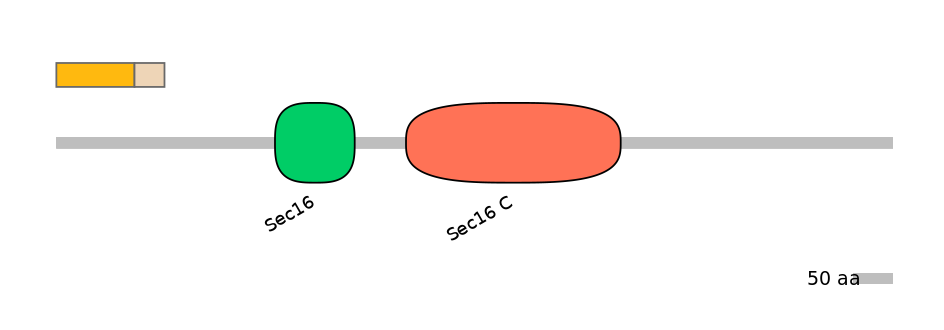 HsaINT0146723-EXC