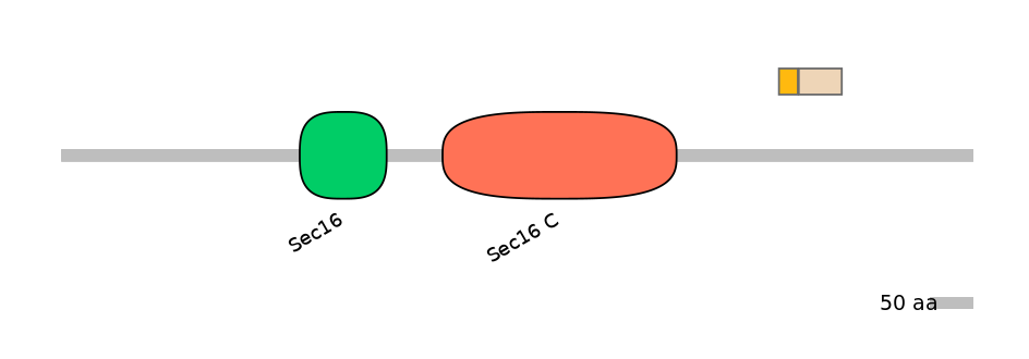 HsaINT0146724-EXC
