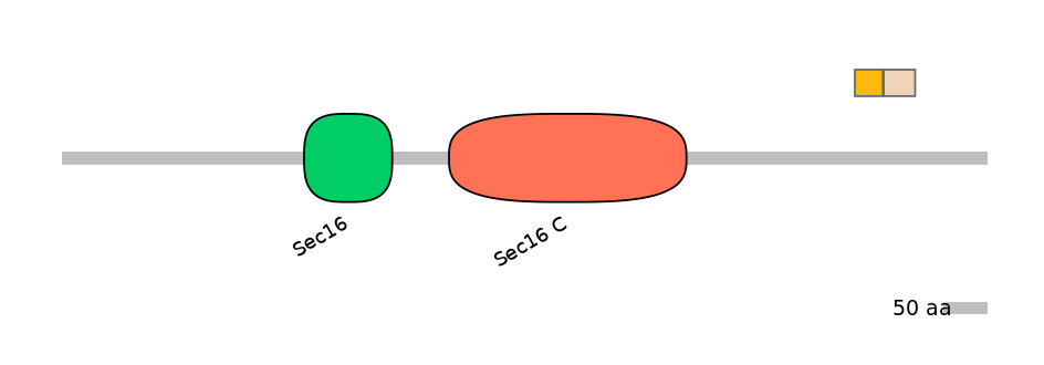 HsaINT0146726-EXC