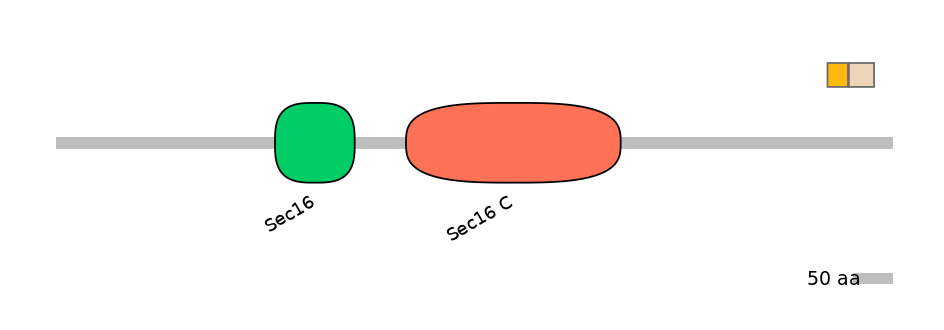 HsaINT0146728-EXC