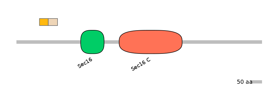 HsaINT0146730-EXC