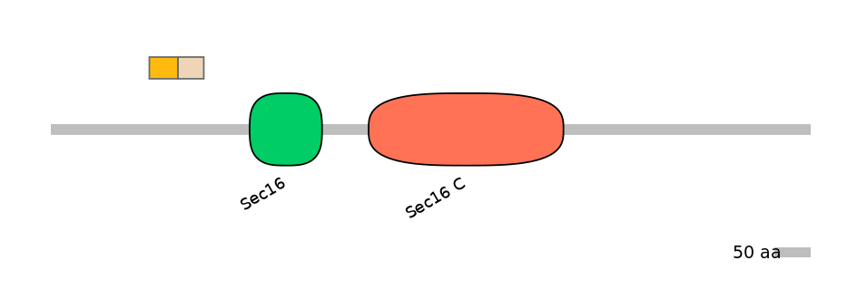 HsaINT0146731-EXC