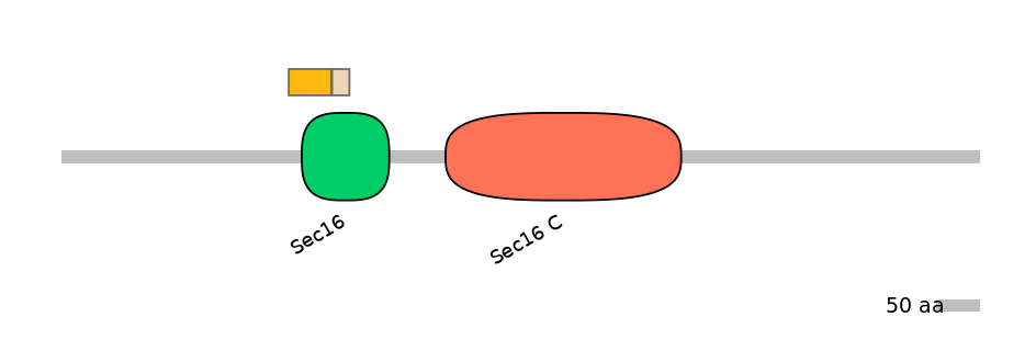 HsaINT0146734-EXC