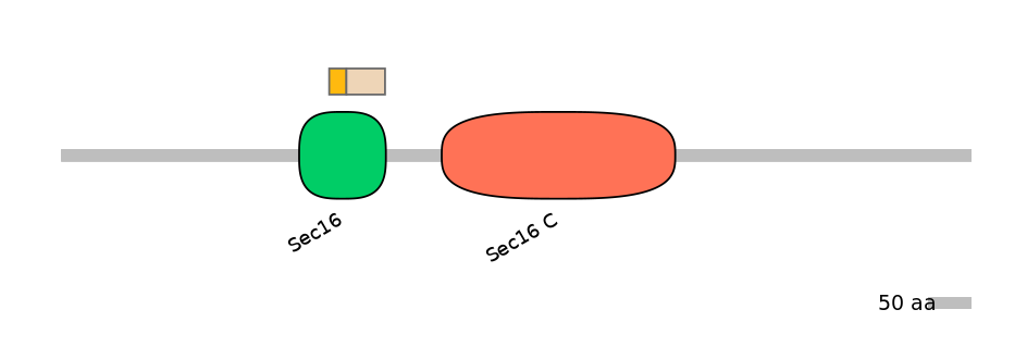 HsaINT0146735-EXC