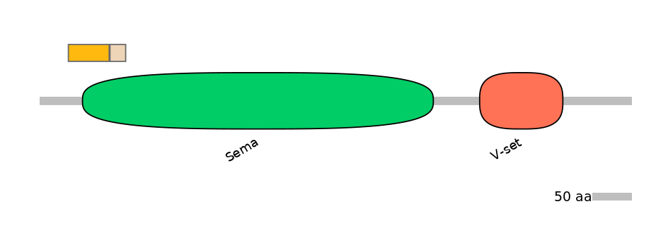 HsaINT0147226-EXC