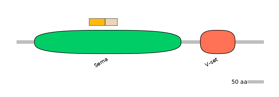 HsaINT0147231-EXC
