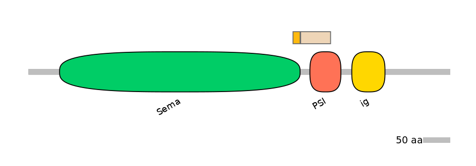 HsaINT0147272-EXC