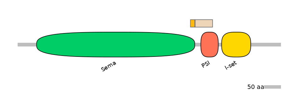 HsaINT0147290-EXC