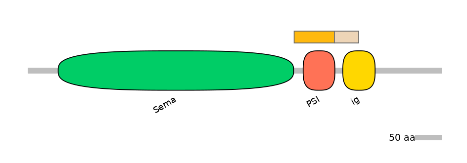 HsaINT0147307-EXC