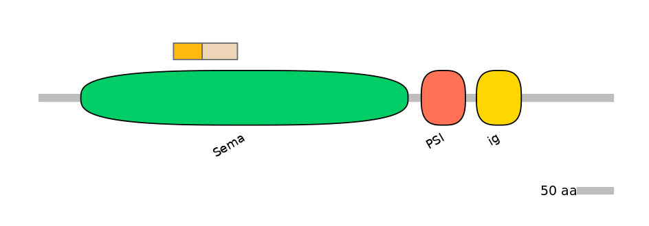 HsaINT0147313-EXC