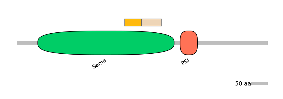 HsaINT0147321-EXC