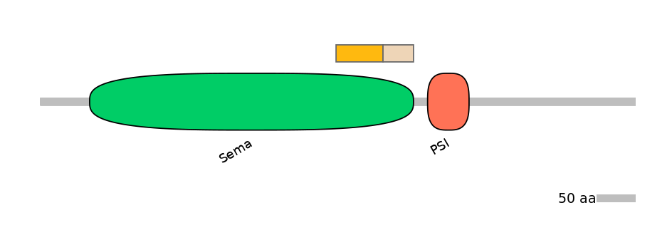 HsaINT0147322-EXC