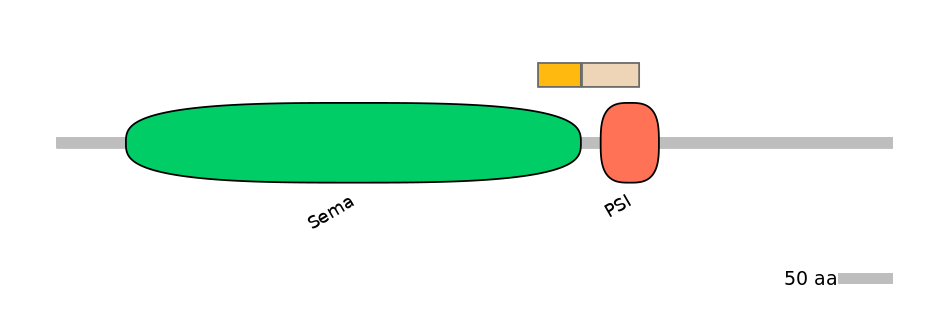 HsaINT0147323-EXC