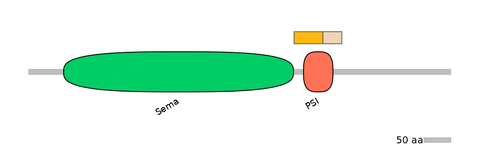 HsaINT0147324-EXC