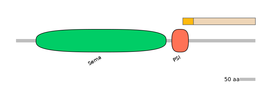 HsaINT0147325-EXC