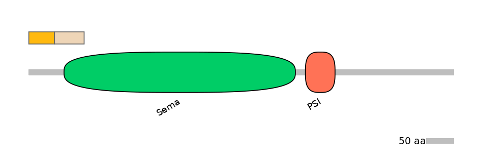 HsaINT0147326-EXC