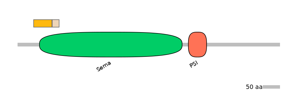 HsaINT0147327-EXC