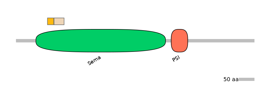 HsaINT0147328-EXC
