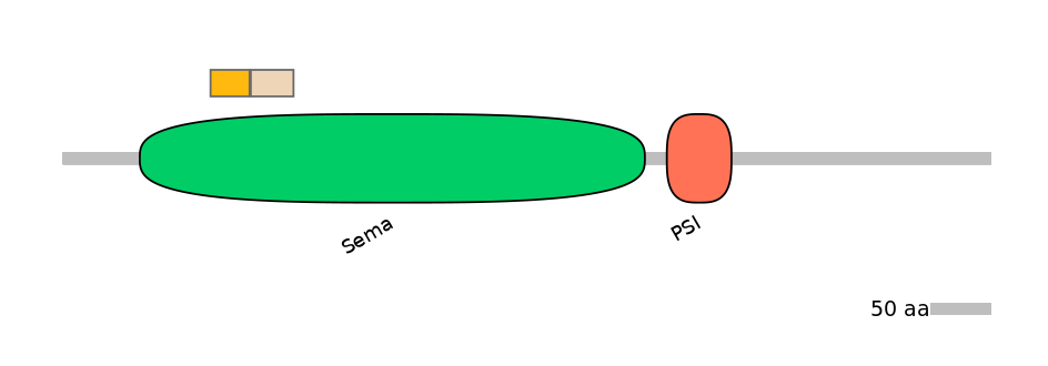 HsaINT0147329-EXC
